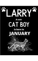 LARRY a cute cat boy is born in January