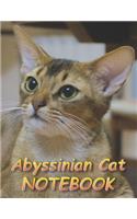 Abyssinian Cat NOTEBOOK: Notebooks and Journals 110 pages (8.5"x11")