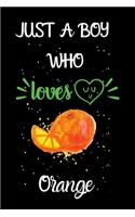 Just A Boy Who Loves Orange: A Great Gift Lined Journal Notebook For Orange Lovers.Best Gift Idea For Christmas/Birthday/New Year