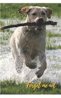 Forget Me Not: Labrador dog running so fun.Internet Password Logbook with alphabetical tabs.Personal Address of websites, usernames, passwords notebook/Journal/Org