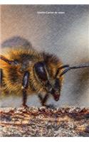 Abeille Carnet de notes: Journal A5 ligné original de 119 pages- Une belle idée de cadeau pour les amoureux des animaux