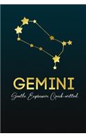 Gemini. Gentle. Expressive. Quick-Witted.