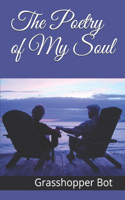 Poetry of My Soul