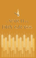 Match in Dry Grass