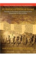 A History of Biblical Israel