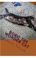 Boris The Wonder Cat