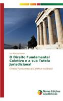 O Direito Fundamental Coletivo e a sua Tutela Jurisdicional