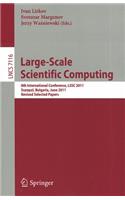 Large-Scale Scientific Computing