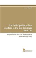 The Tio2/Dye/Electrolyte- Interface in the Dye Sensitized Solar Cell