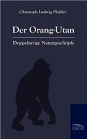 Orang-Outan