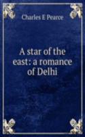 star of the east: a romance of Delhi