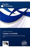 Pepinia Caricifolia