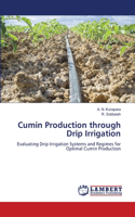 Cumin Production through Drip Irrigation