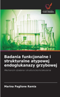 Badania funkcjonalne i strukturalne atypowej endoglukanazy grzybowej