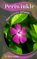 Periwinkle