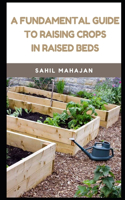 A Fundamental Guide to Raising Crops in Raised Beds