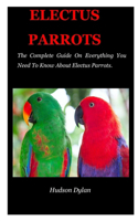 Electus Parrots: The Complete Guide On Everything You Need To Know About Electus Parrots.