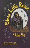 Sleep Little Raven