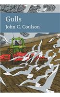 Gulls (Collins New Naturalist Library, Book 139)