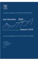 Quantum Entanglement and Information Processing