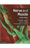 Nerve and Muscle: (English)