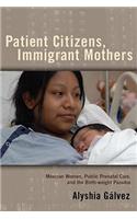 Patient Citizens, Immigrant Mothers