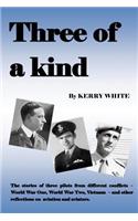 Three of a kind: The stories of three pilots from different conflicts(English)