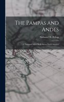 Pampas and Andes