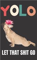 YOLO Let that Shit Go: A Gratitude Journal with Prompts for Awesome Bitches dealing with Shits in Life (cuz' cursing makes me feel better) Fuck! Journal Prompts for Women 