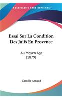 Essai Sur La Condition Des Juifs En Provence: Au Moyen Age (1879)(French)