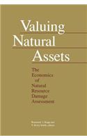 Valuing Natural Assets