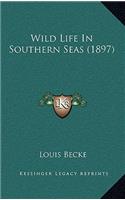 Wild Life in Southern Seas (1897)