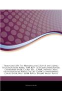 Articles on Tributaries of the Monongahela River, Including
