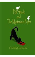 Pell Shade and the Mysterious Paper