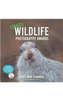 Comedy Wildlife 2021 Wall Calendar
