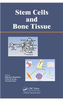 Stem Cells and Bone Tissue