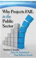 Why Projects Fail in the Public Sector