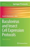 Baculovirus and Insect Cell Expression Protocols