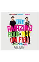 The Amazing Book Is Not on Fire
