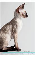 Cornish Rex Affirmations Workbook Cornish Rex Presents: Positive and Loving Affirmations Workbook. Includes: Mentoring Questions, Guidance, Supporting You.