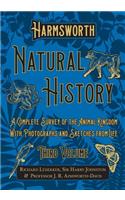 Harmsworth Natural History - A Complete Survey of the Animal Kingdom - With Photographs and Sketches from Life - Third Volume
