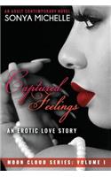 Captured Feelings 