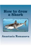 How to draw a Shark