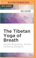 Tibetan Yoga of Breath