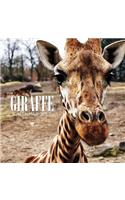 Giraffe Calendar 2017: 16 Month Calendar