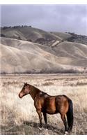 A Beautiful Brown Horse in a Winter Meadow Journal: 150 Page Lined Notebook/Diary