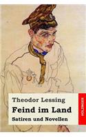 Feind im Land: Satiren und Novellen