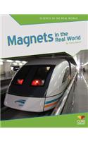 Magnets in the Real World