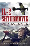 Il-2 Shturmovik: Red Avenger