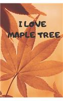 Maple Tree